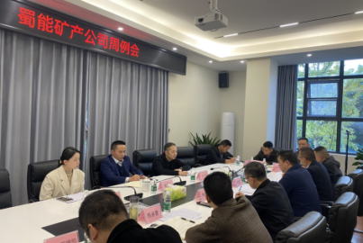 新材料集团纪委调研督导南宫NG28矿产公司重点工作